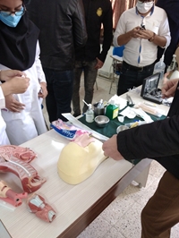 کارگاه آموزشی ENT(معاینه گوش،شستشوی گوش،تامپون بینی،و...)